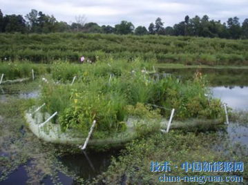 廢舊塑料變身生態小島 環保材料的生態奇跡